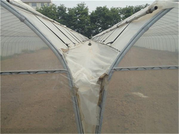 大棚造价 连栋拱棚是在单栋拱棚基础上进行连栋建设而来,一般分为简易
