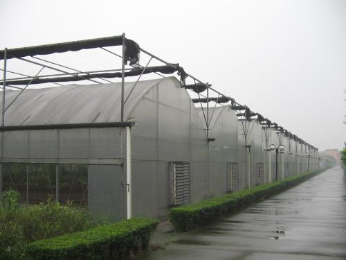 温室大棚.jpg
