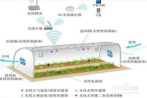 物联网控制系统.jpg