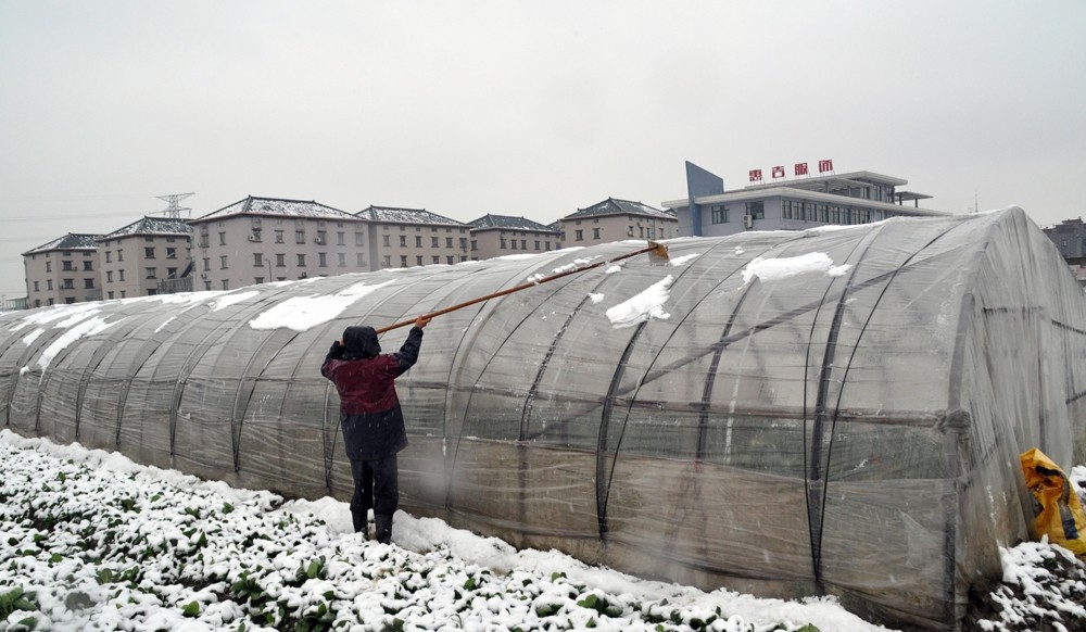 大棚扫雪.jpg