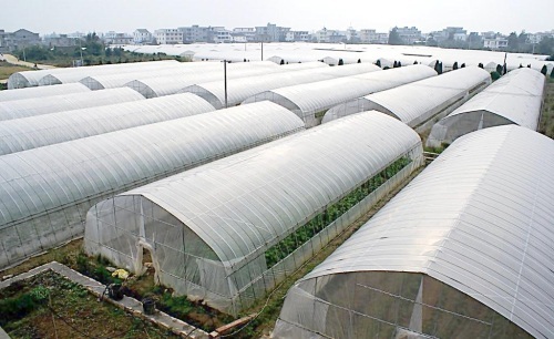 塑料温室.jpg