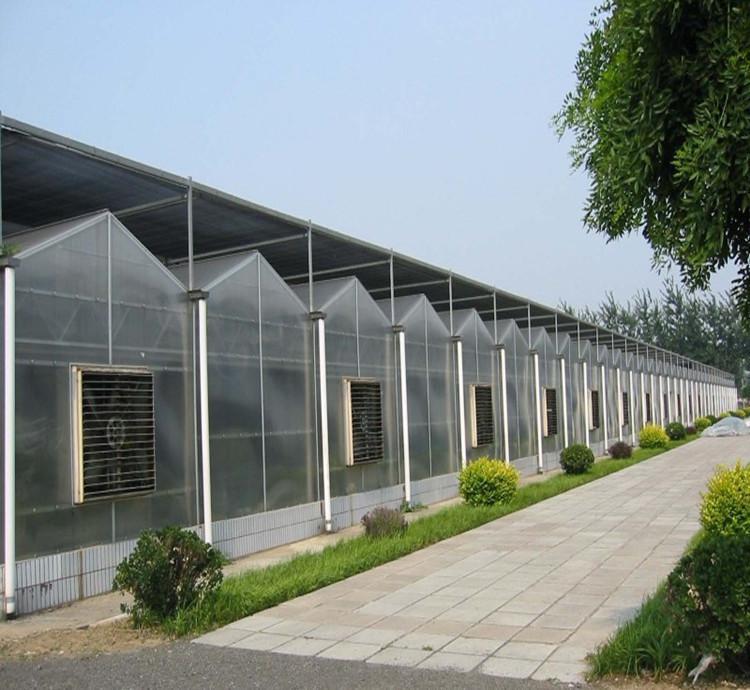 PC板温室.jpg