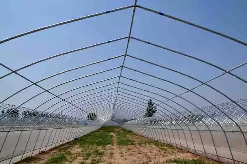 钢管简易拱棚.jpg