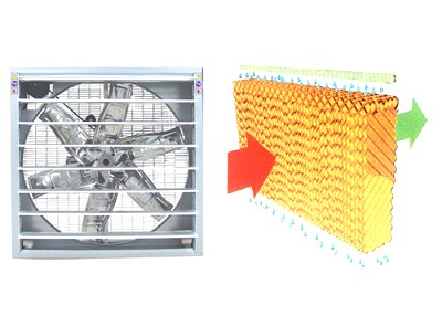 风机湿帘降温系统.jpg