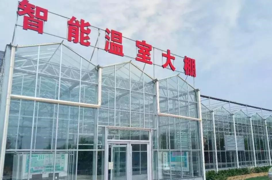 智能温室大棚.jpg