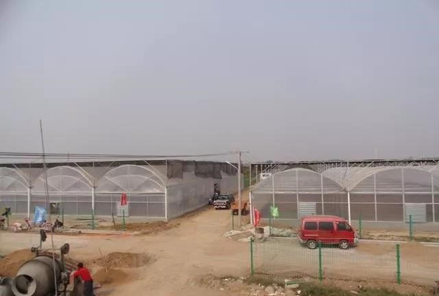 左侧双膜温室右侧单膜温室.jpg