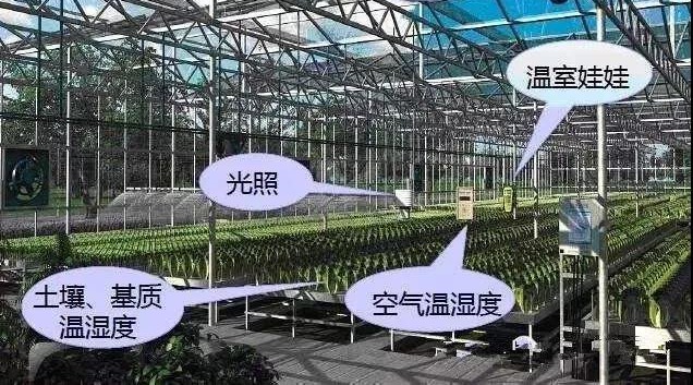 玻璃温室物联网系统.jpg