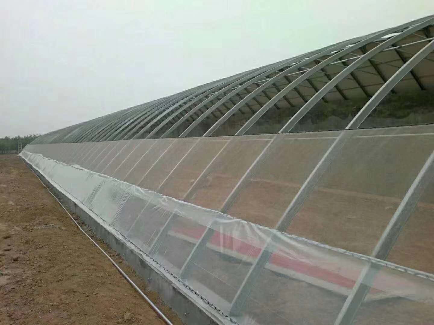 下挖式日光温室图片.jpg
