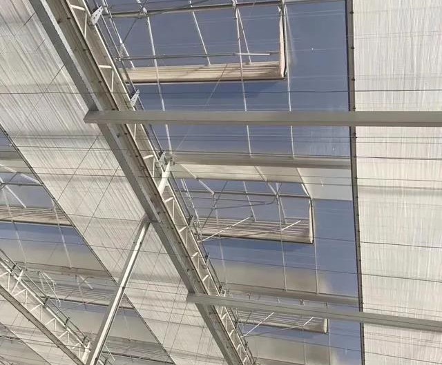 温室大棚覆盖材料--漫散射玻璃.jpg