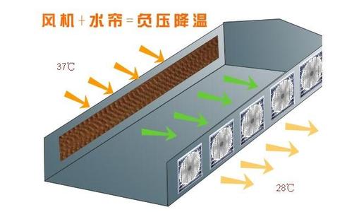 风机通风系统.jpg