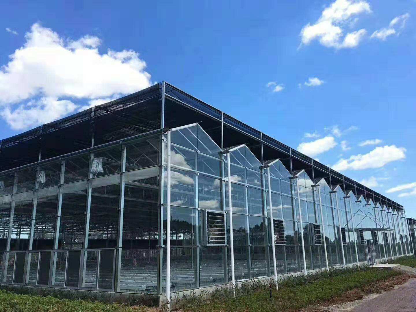 高大景观玻璃温室大棚如何设计？肩高十米的玻璃大棚案例分析-搜狐大视野-搜狐新闻