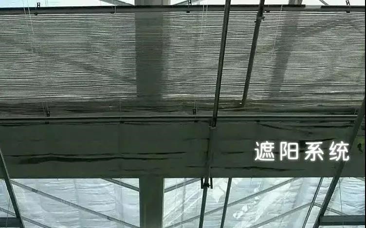 遮阳系统.jpg