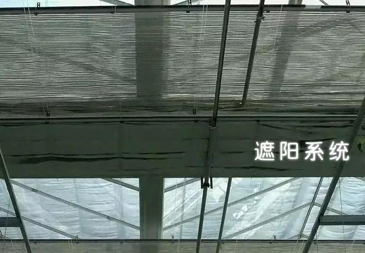 玻璃温室内遮阳幕布.jpg