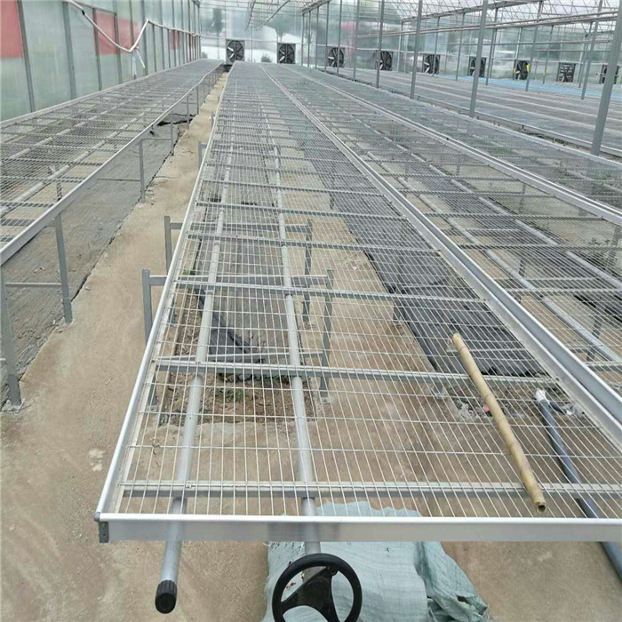 移动式苗床系统.jpg