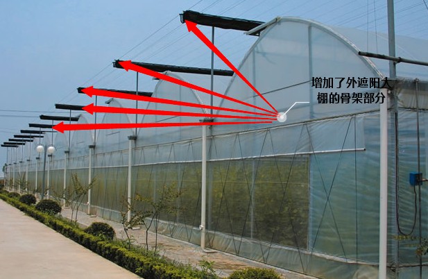 标准型连栋温室大棚.jpg