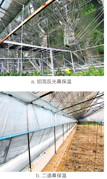 滑盖式日光温室的保温系统.png