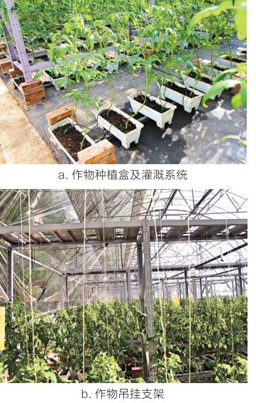 作物栽培系统.png