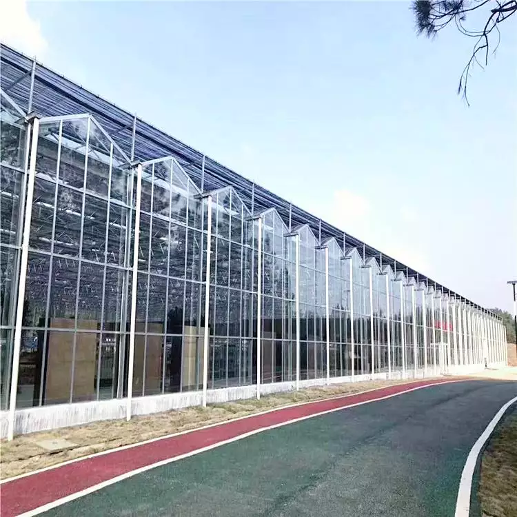 纹络型玻璃温室建设应该掌握的几个技术要点!