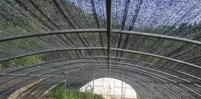 遮阳网.jpg 遮阳网.jpg