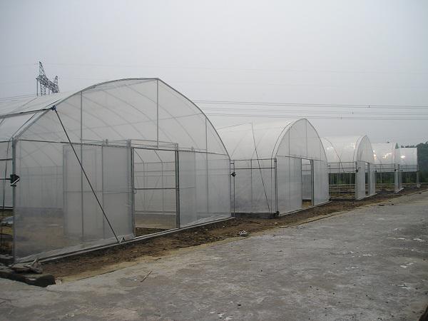 建温室有哪些方面是农户比较关心的？又有哪些方面是不可忽视的？