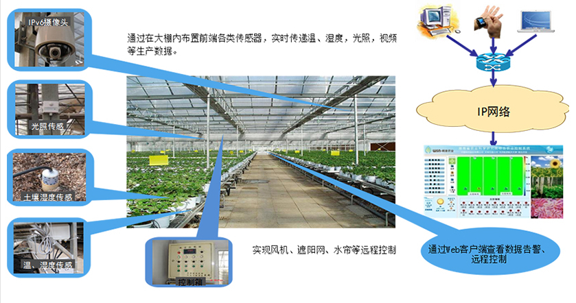 物联网传感器.png
