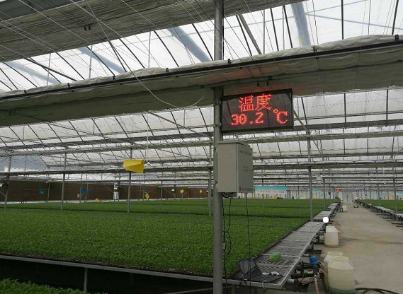 智能温室自动控制系统